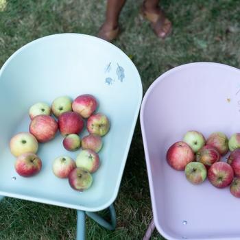 Little Dutch rosa Garten Schubkarre Metall - Fairy Garden