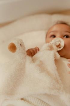 Little Dutch Schmusetuch Little Goose GRS - Schnullertuch